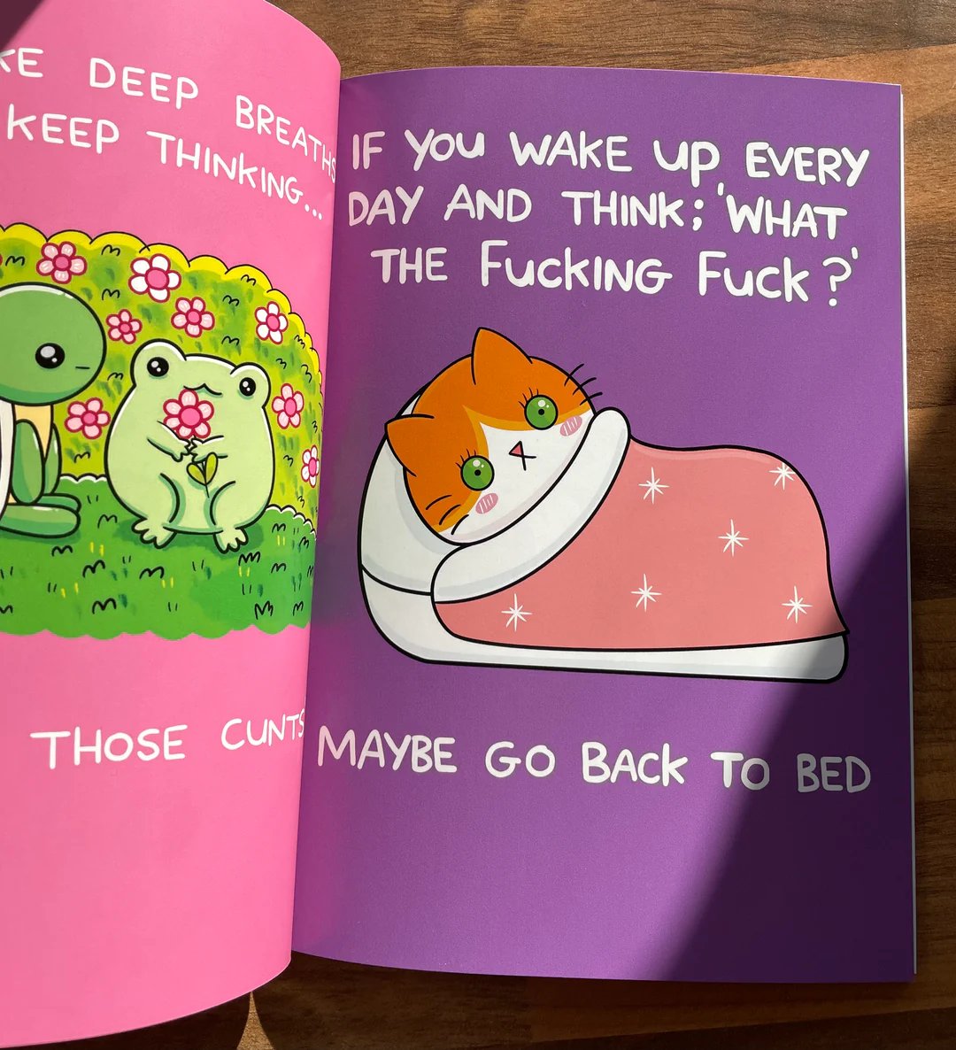 📖💕‘How To Survive The Bullsh!t’ Book(📚HARDCOVER)